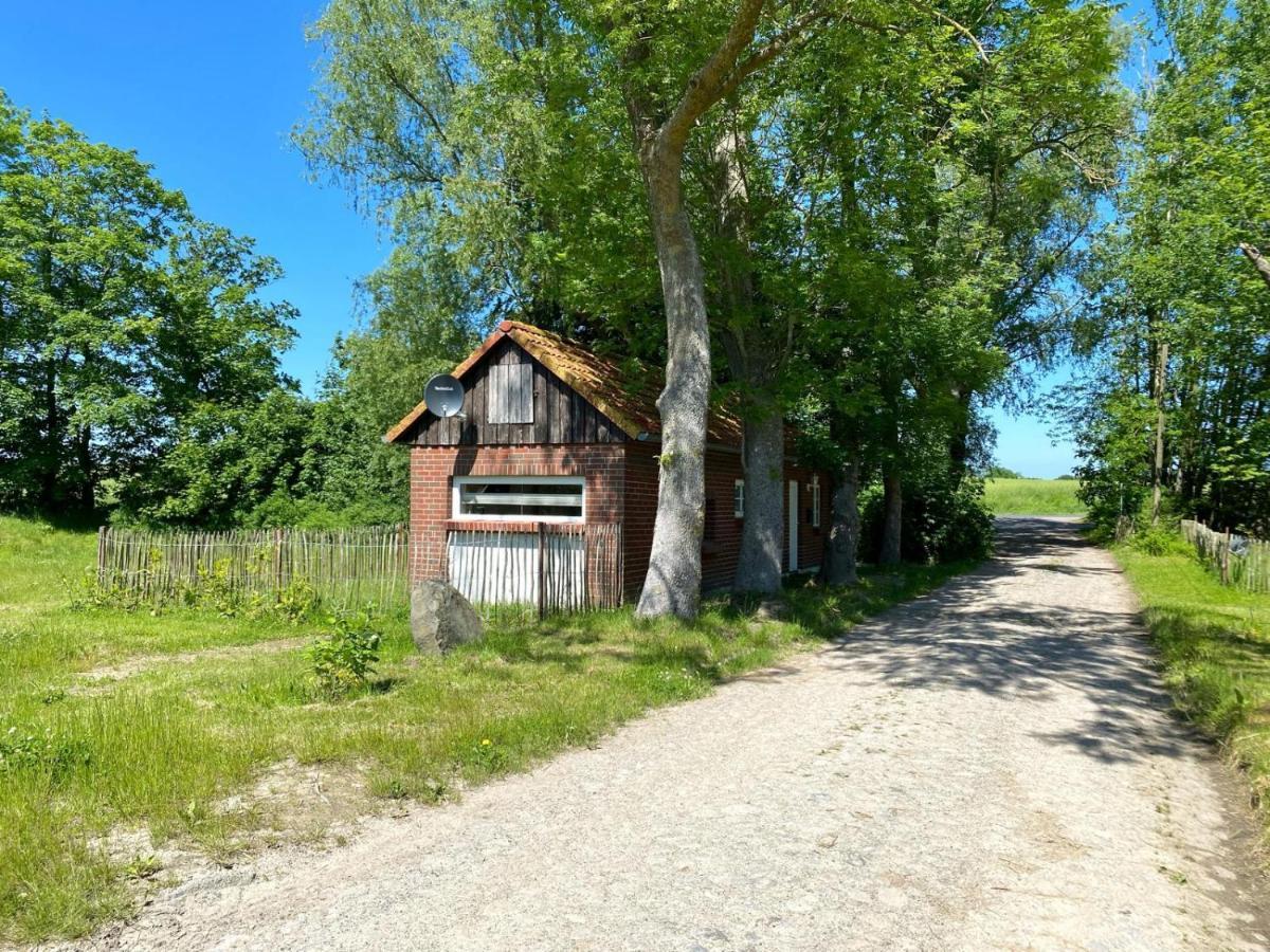 Hofgut Bisdamitz - Ferienhaus "Knoff" Exterior foto